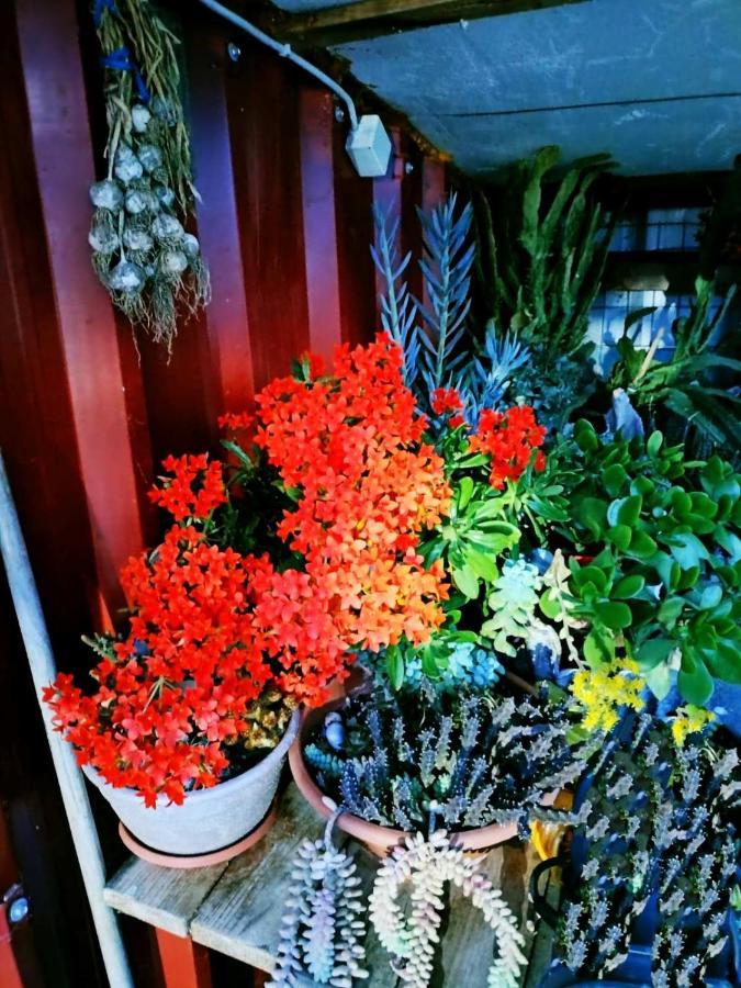 Adam'S Holiday House 2019 Kariani Exterior photo